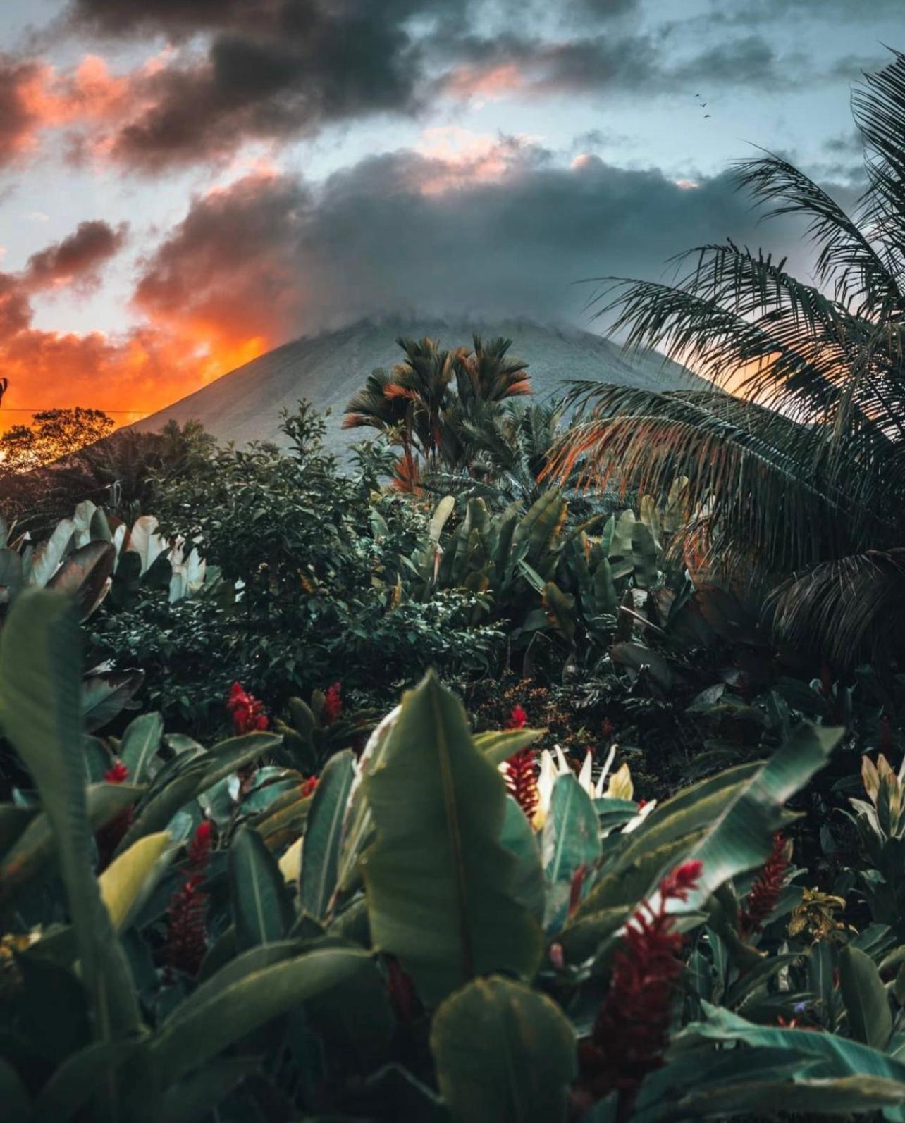 Villa Tucan ラ・フォルトゥナ エクステリア 写真