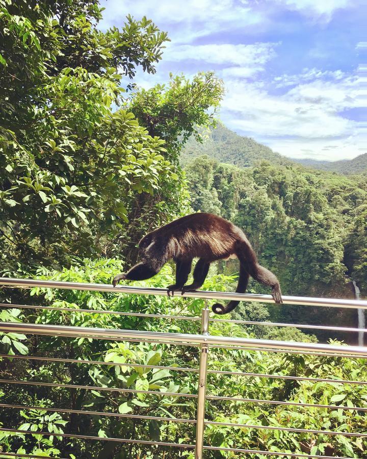 Villa Tucan ラ・フォルトゥナ エクステリア 写真